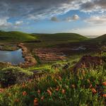 Coyote Hills Regional Park