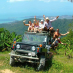 Jungle Safari