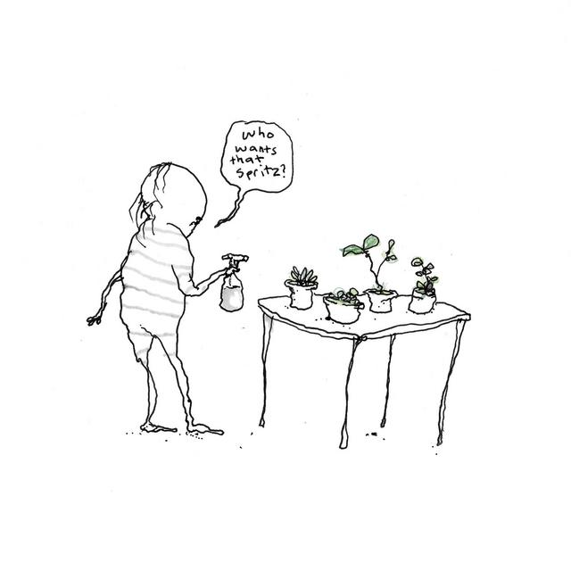 The Spritz