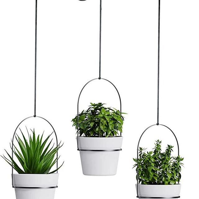 Hanging Planter Hanging Plant Holder - 6 Inch Indoor Plant Pots Boho Modern Window Plant Hanger for Living Room Kitchen Wall Ceiling Home Decor No Plants