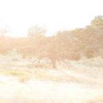 Lorimar Wine Tasting