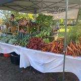 Winter Park Farmers' Market