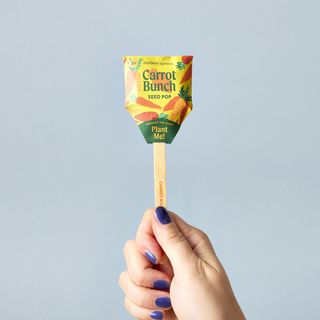 Garden Seed Pop, Set of 6