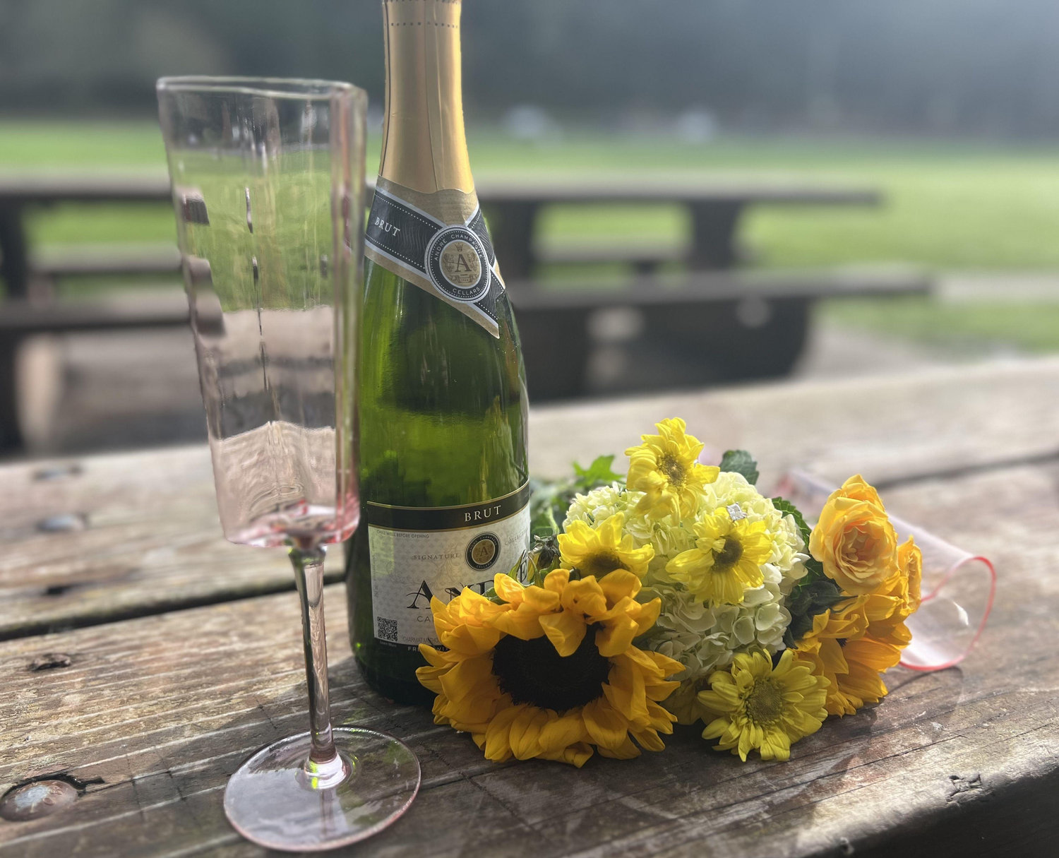 The Wedding Website of Julie Donovan and Fred Beliunas