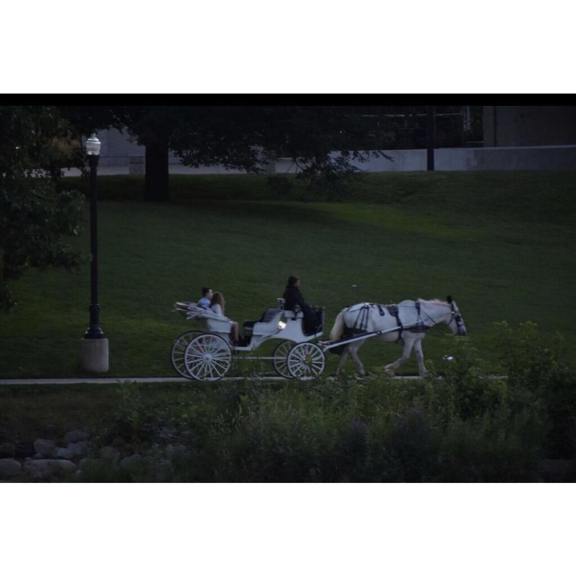 Carriage ride downtown Grand Rapids