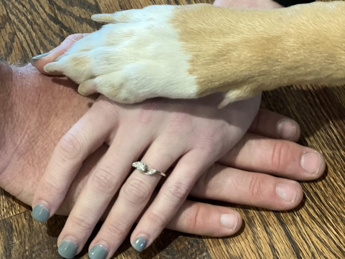 The Wedding Website of Lindsey Roe and Justin Hess