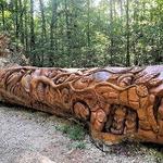 William B. Umstead State Park