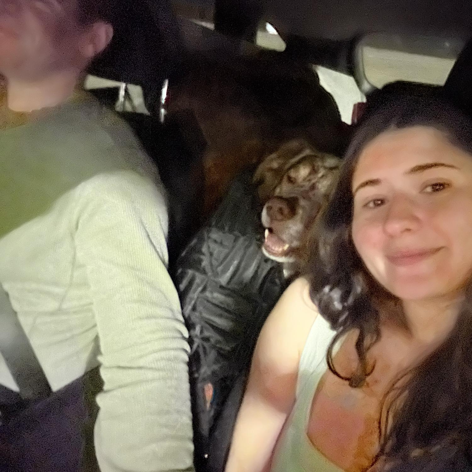 Our drive with Moose to our new home in Maryland