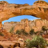 Capitol Reef National Park