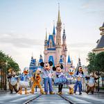 Walt Disney World