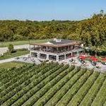 50 West Vineyards