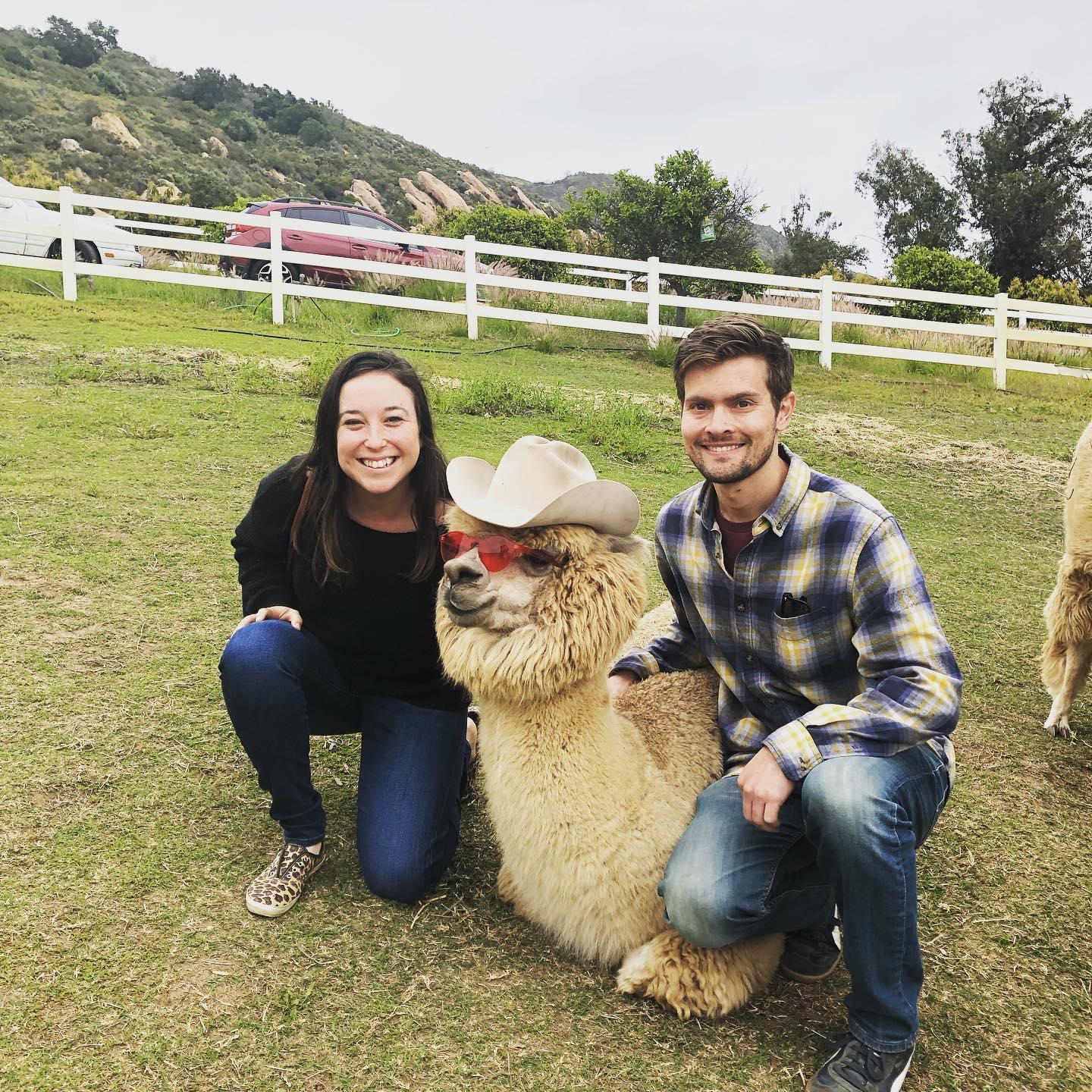 No prob-llama, alpaca bag