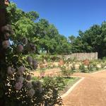 Albuquerque Botanical Garden & Aquarium