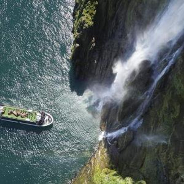 Milford Sound Cruise