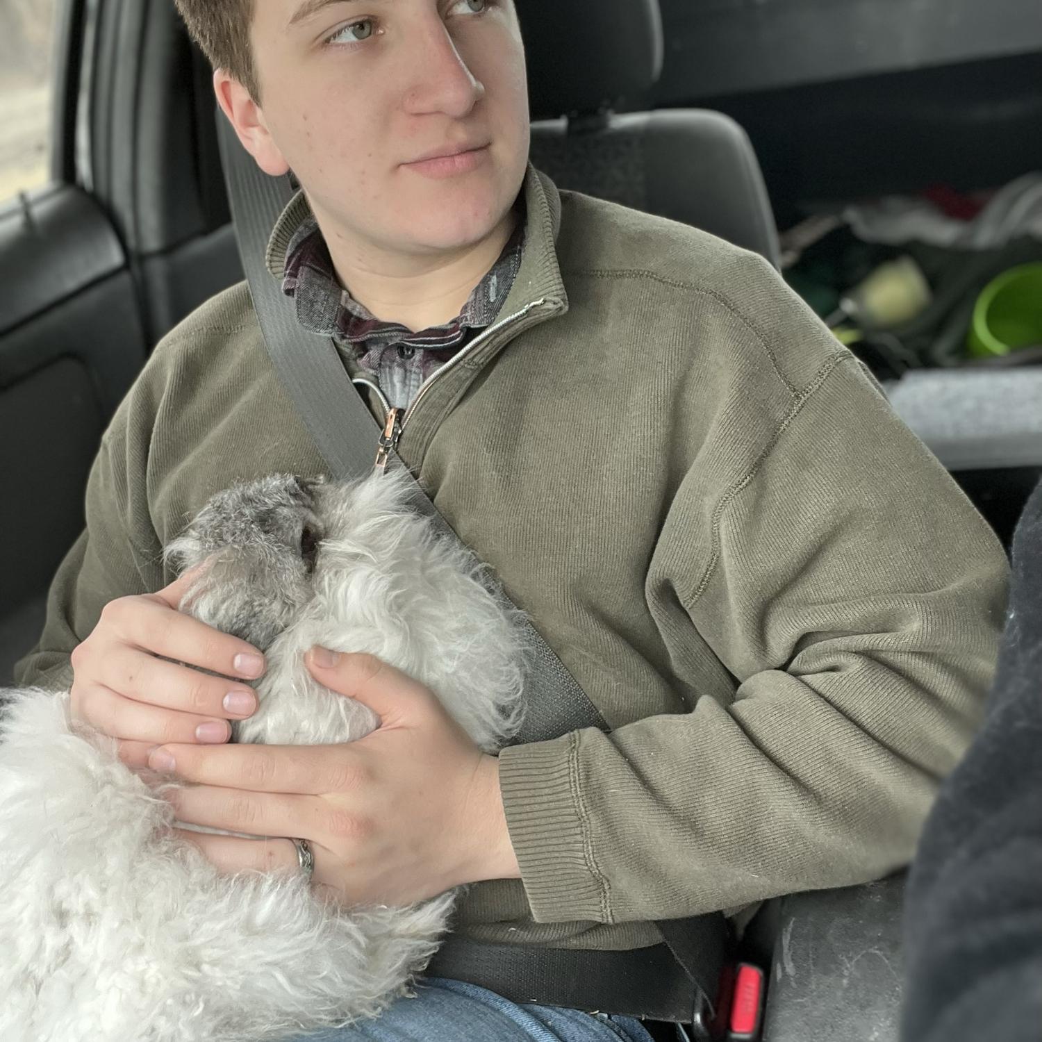 Bringing Rosie home