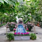 United States Botanic Garden