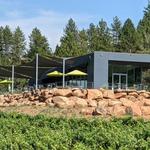 La Mesa Vineyards
