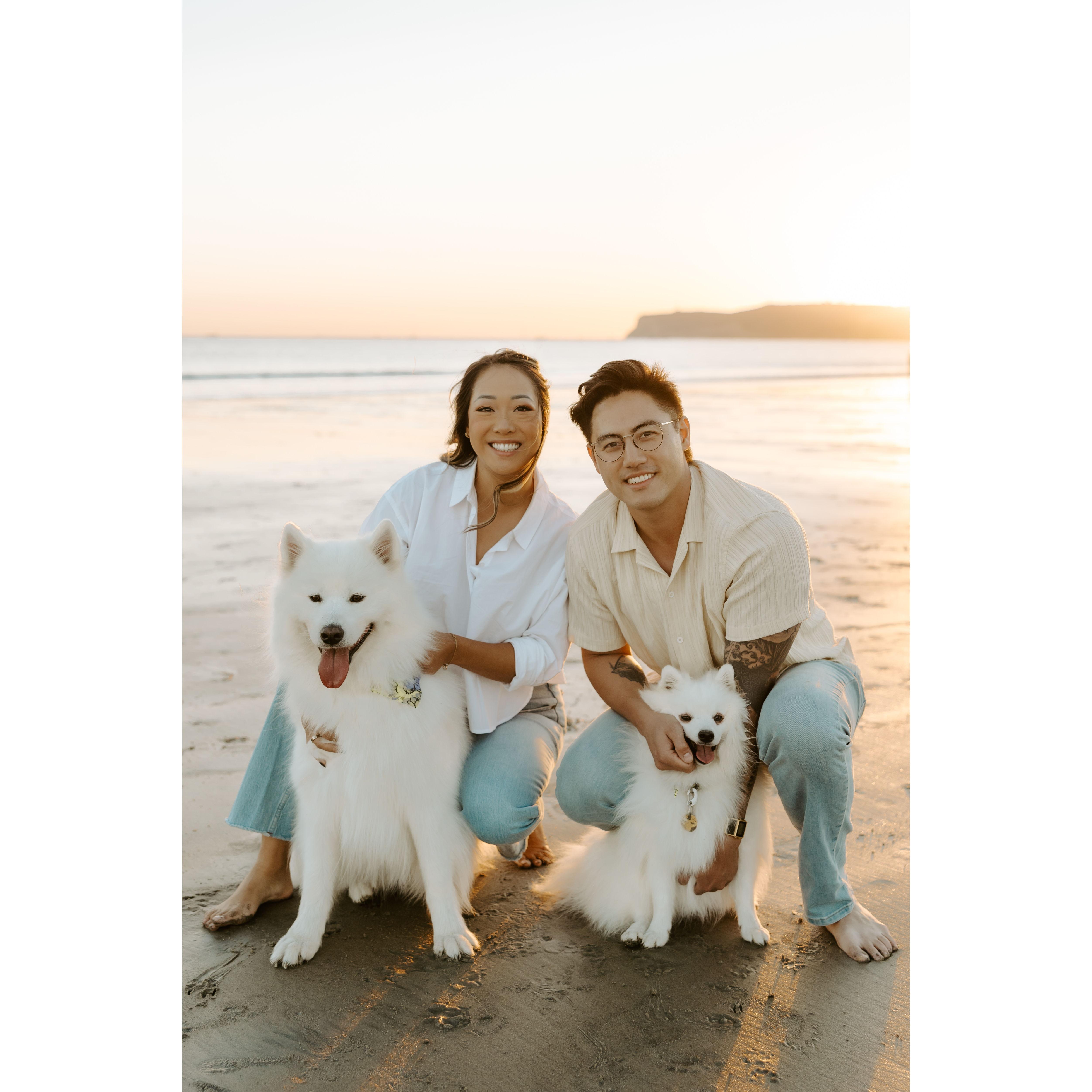 Our first holiday family photo shoot in San Diego