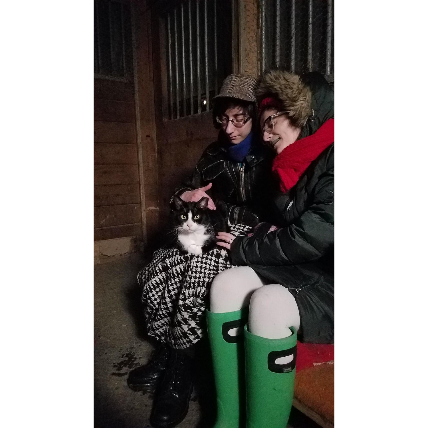 The first time we met Sebastian! An ostensibly "anti-social" cat who spent an hour kissing us.