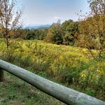 Shenandoah National Park