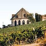 Snake River Valley Vineyards