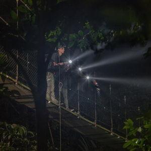 Arenal Night Walk