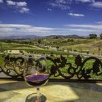 Miramonte Winery