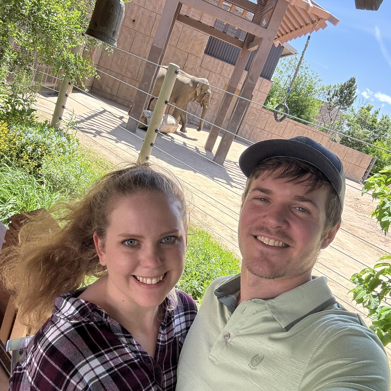 Denver Zoo! 🐘