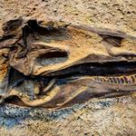 Dinosaur National Monument