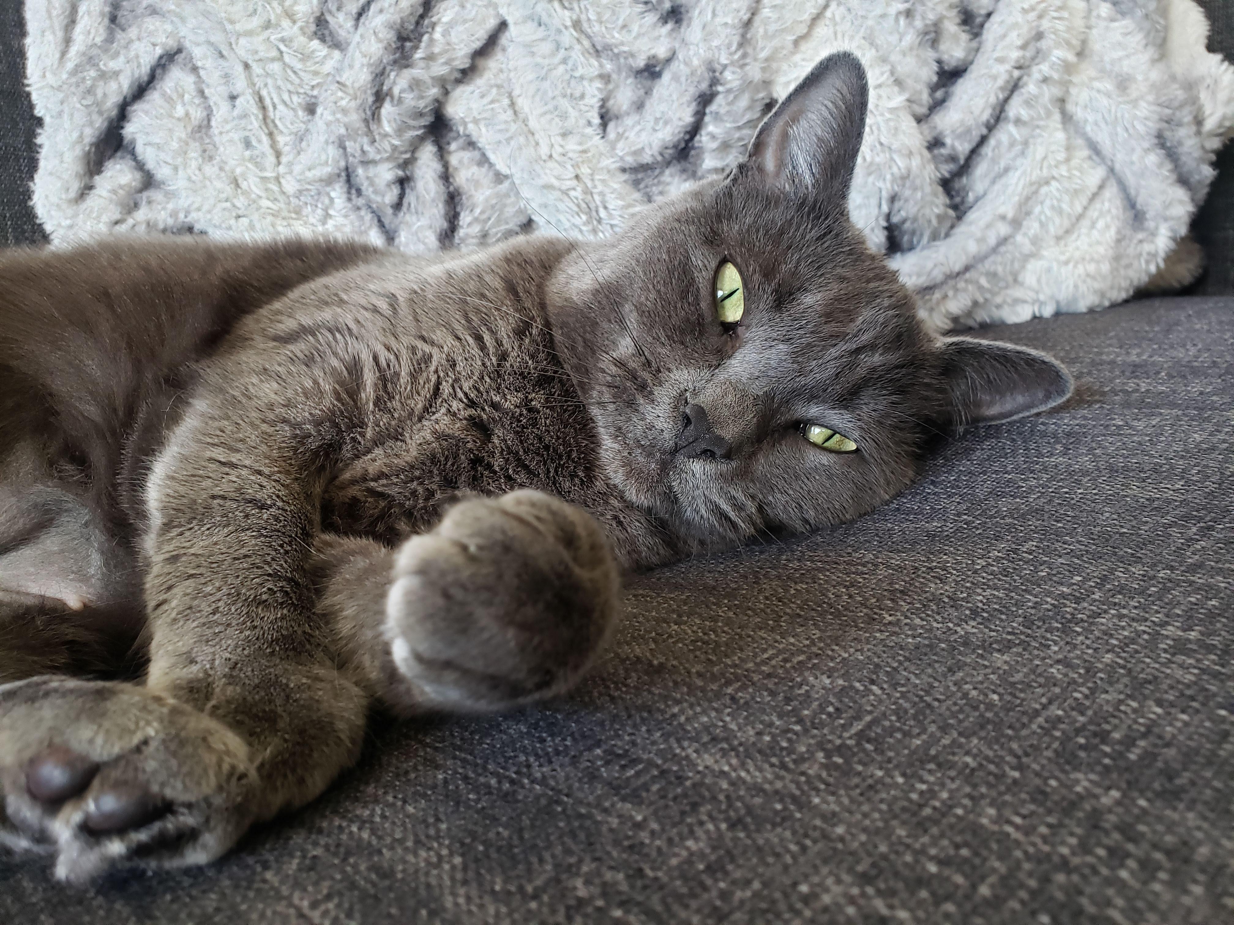 e3cb7258-7c68-48ac-bdf7-075e71b4ee2d