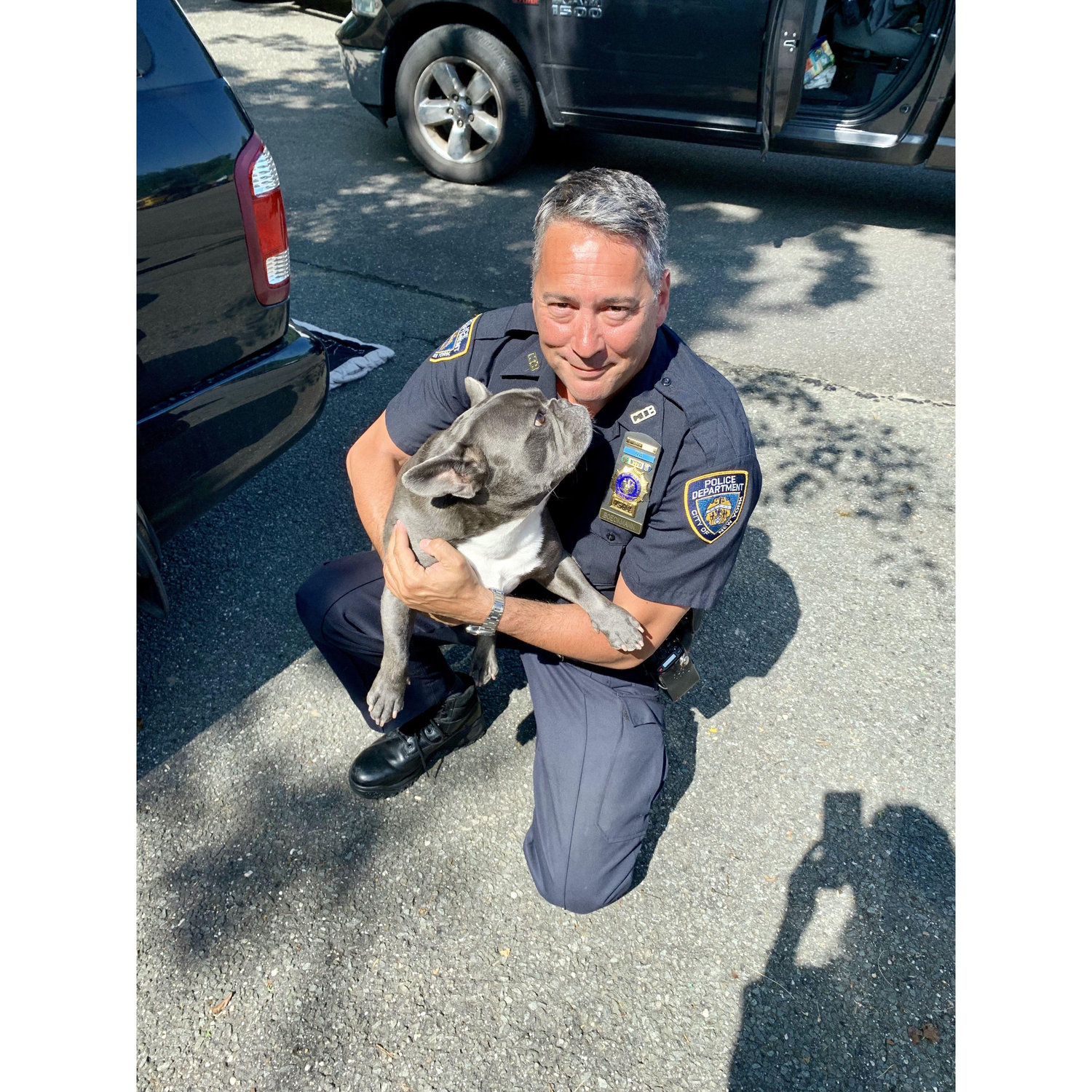 Apprehended for excess cuteness