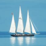 Tall Ship Festival