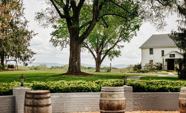 The Wedding Website of Chloe Gregory and Matthew Fellows