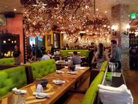 Rocco's Tacos & Tequila Bar
