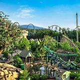 Dollywood