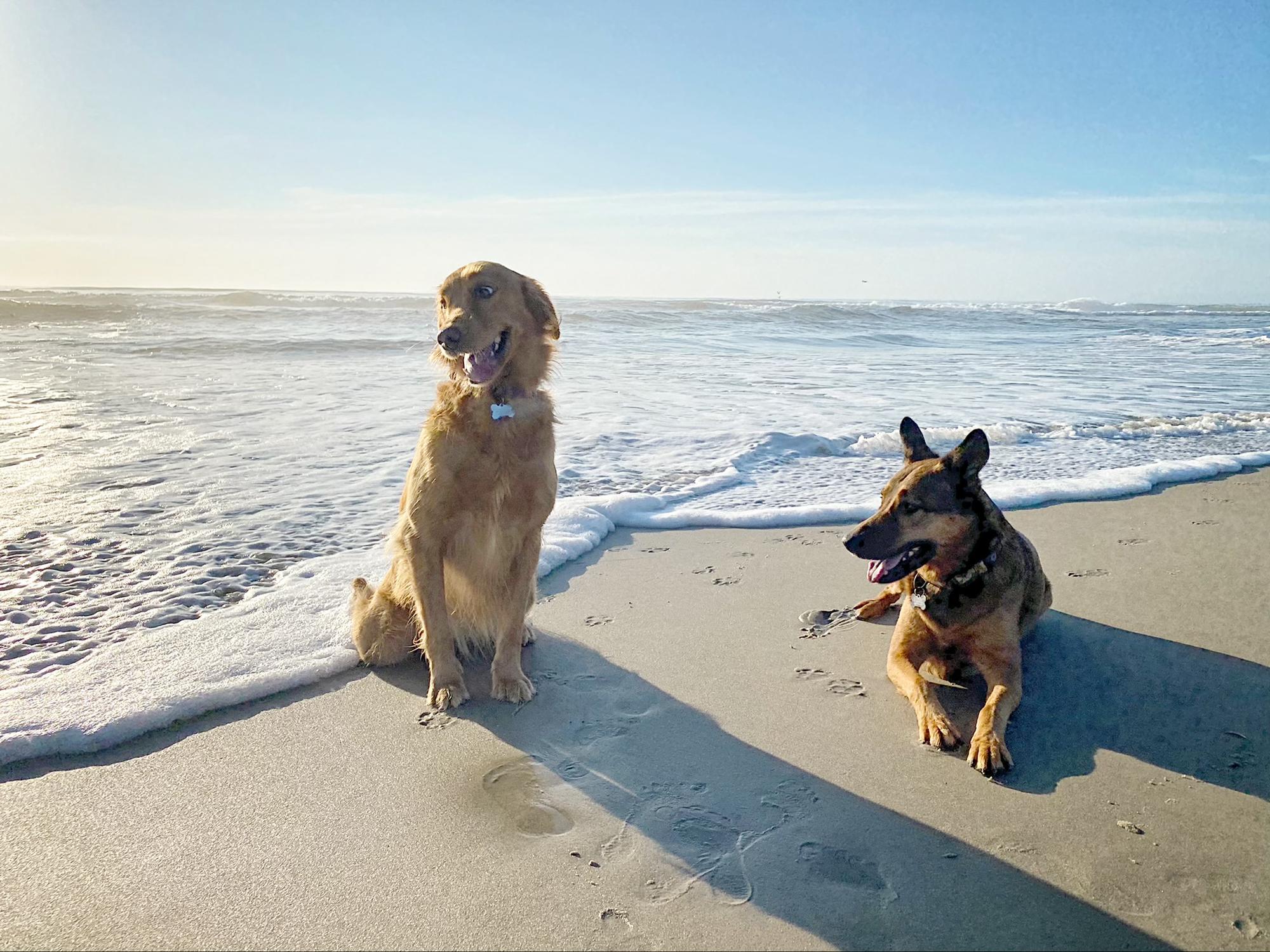 Lola & Duke, Ocean City, NJ