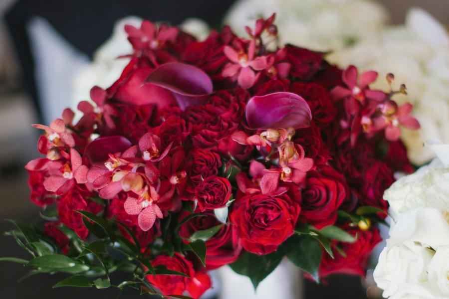 The Wedding Website of Estelle Simard and Michael Mosher