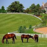 Visit Horse Country - Farm Tours