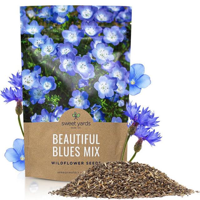 All Blues Wildflower Seeds - Bulk 1/4 Pound Bag - Over 30,000 PureAnnual and Perennial Flower Seeds