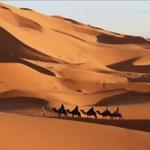 Sahara Desert Luxury Camp