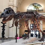 Chicago Museums