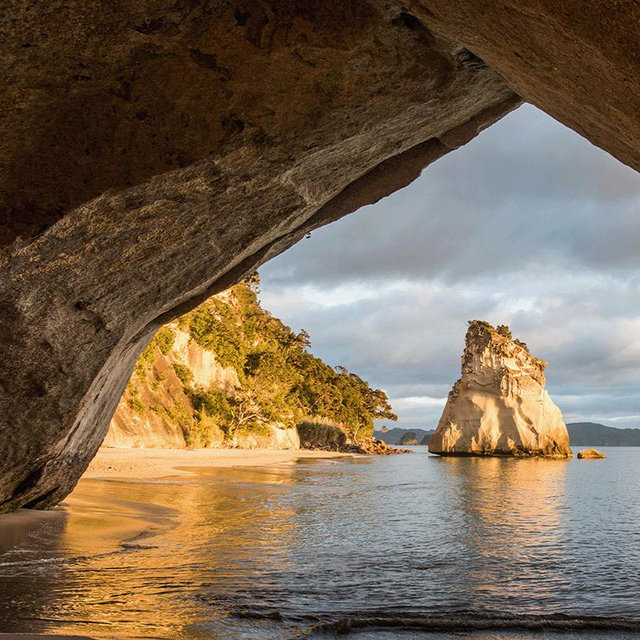cash fund for New Zealand