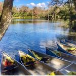 Wekiwa Springs State Park