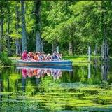 Cypress Gardens