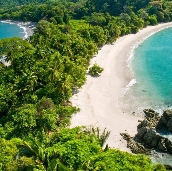 Honeymoon- Manuel Antonio National Park Tour
