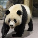 Smithsonian National Zoological Park