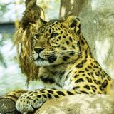 Santa Barbara Zoo