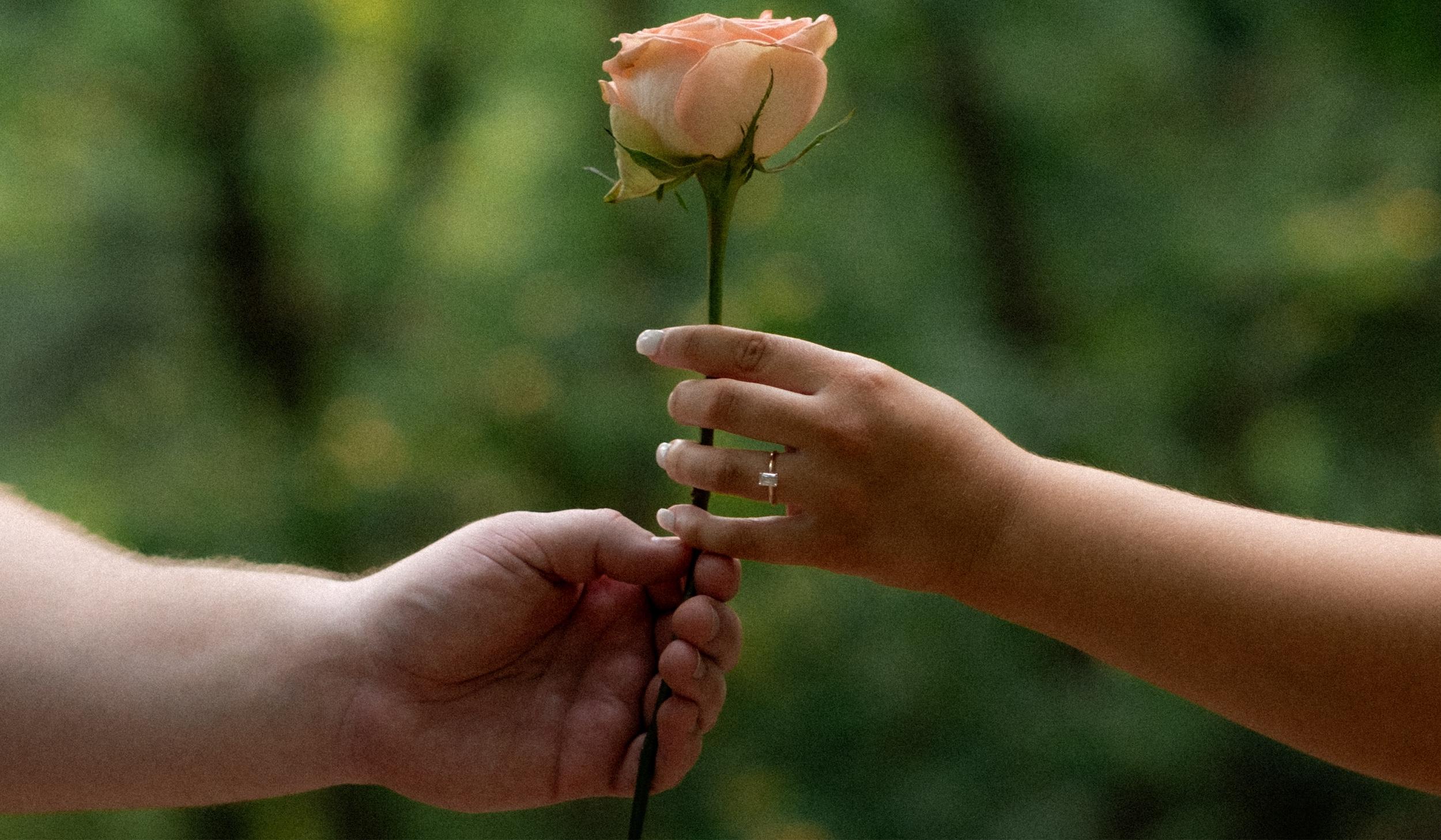 The Wedding Website of David Kleber and Marissa Bell