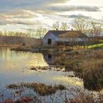 Mass Audubon's Wachusett Meadow Wildlife Sanctuary