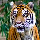 San Antonio Zoo